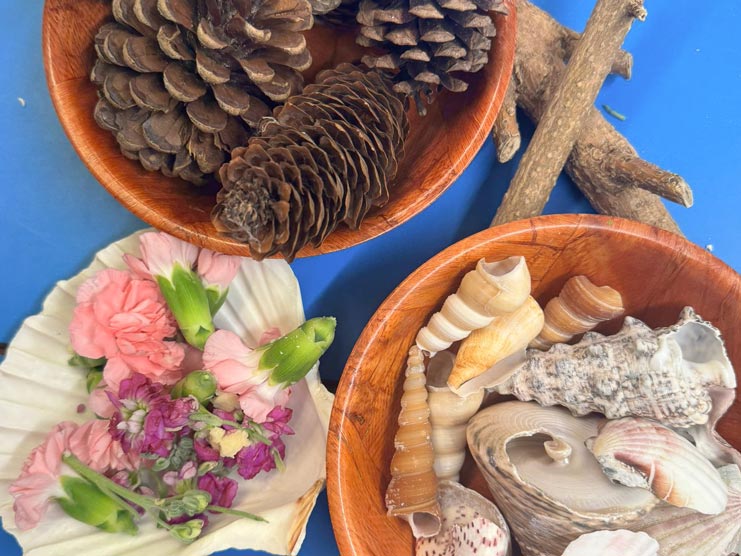 a bowl of shells, a bowl of pinecones, and a large shell with flowers in it